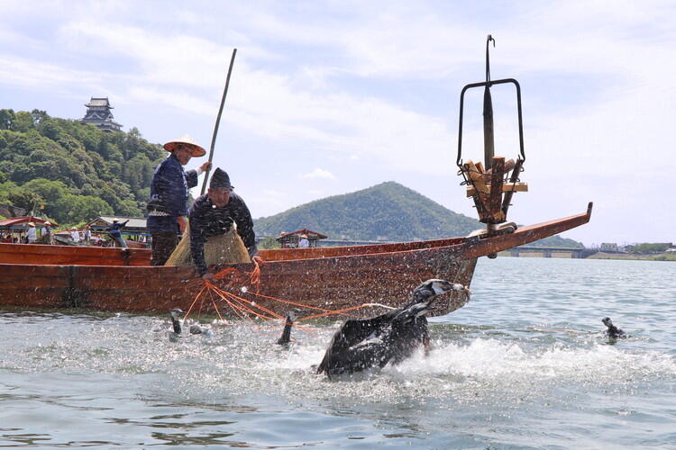 木曽川の鵜飼。1300 年の伝統がある。（写真提供：犬山市）