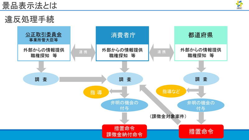 （資料：消費者庁）