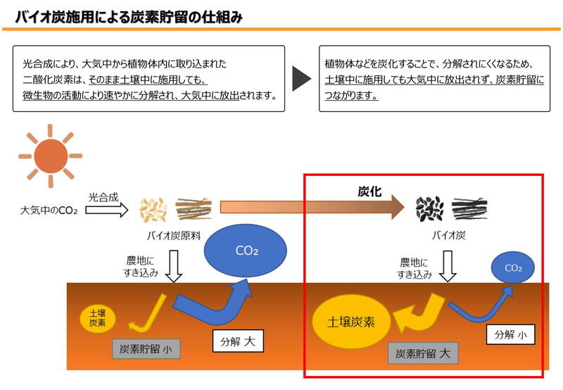 （資料：農林水産省）