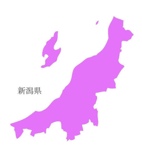 【人事情報】新潟県　宮沢健太郎氏ほか